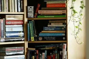 How Do You Balance the Use of Dialogue and Narrative in Your Writing?